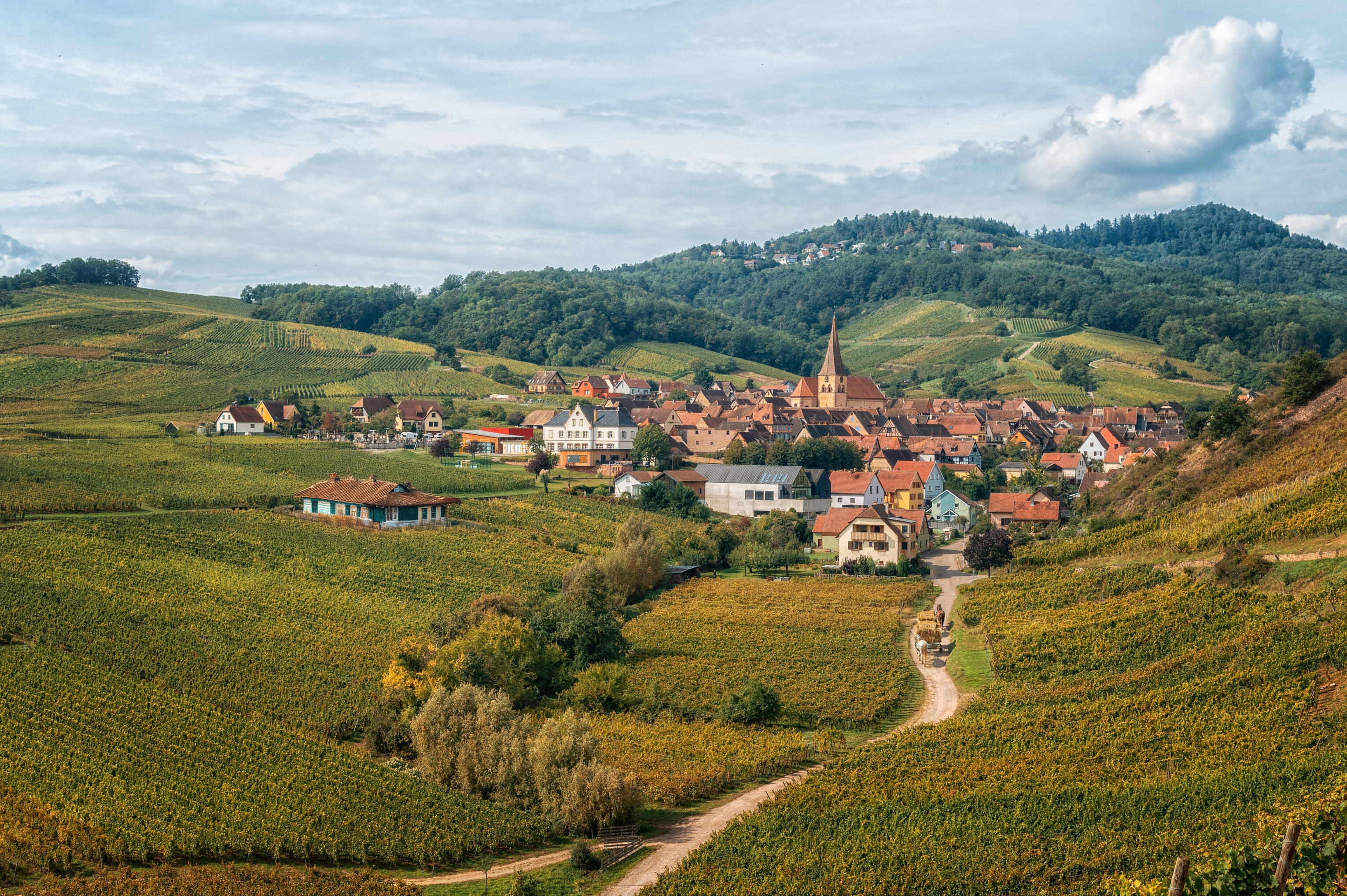 venez au gîte