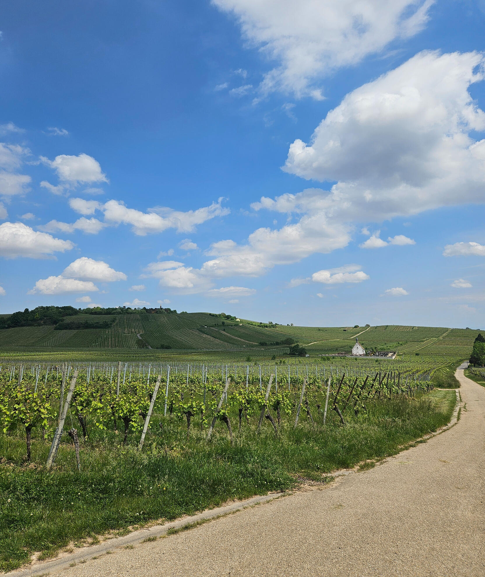 piemont des vignes