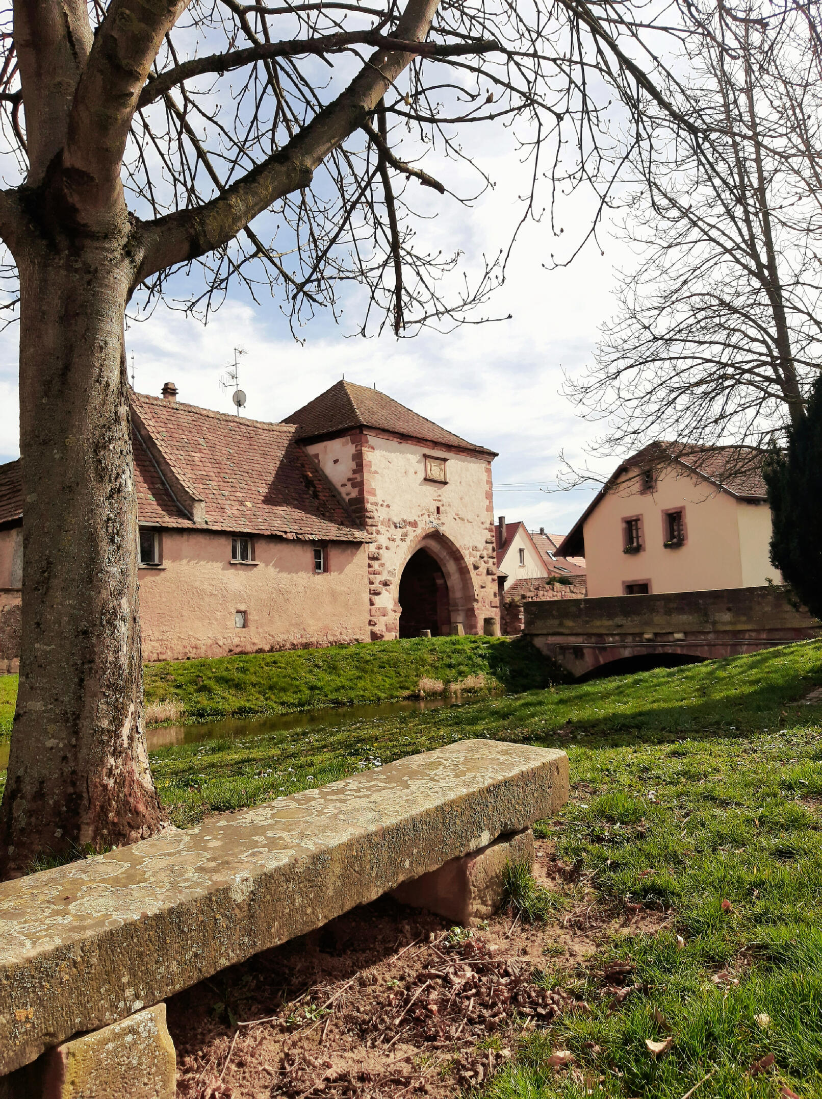 venez découvrir l'alsace